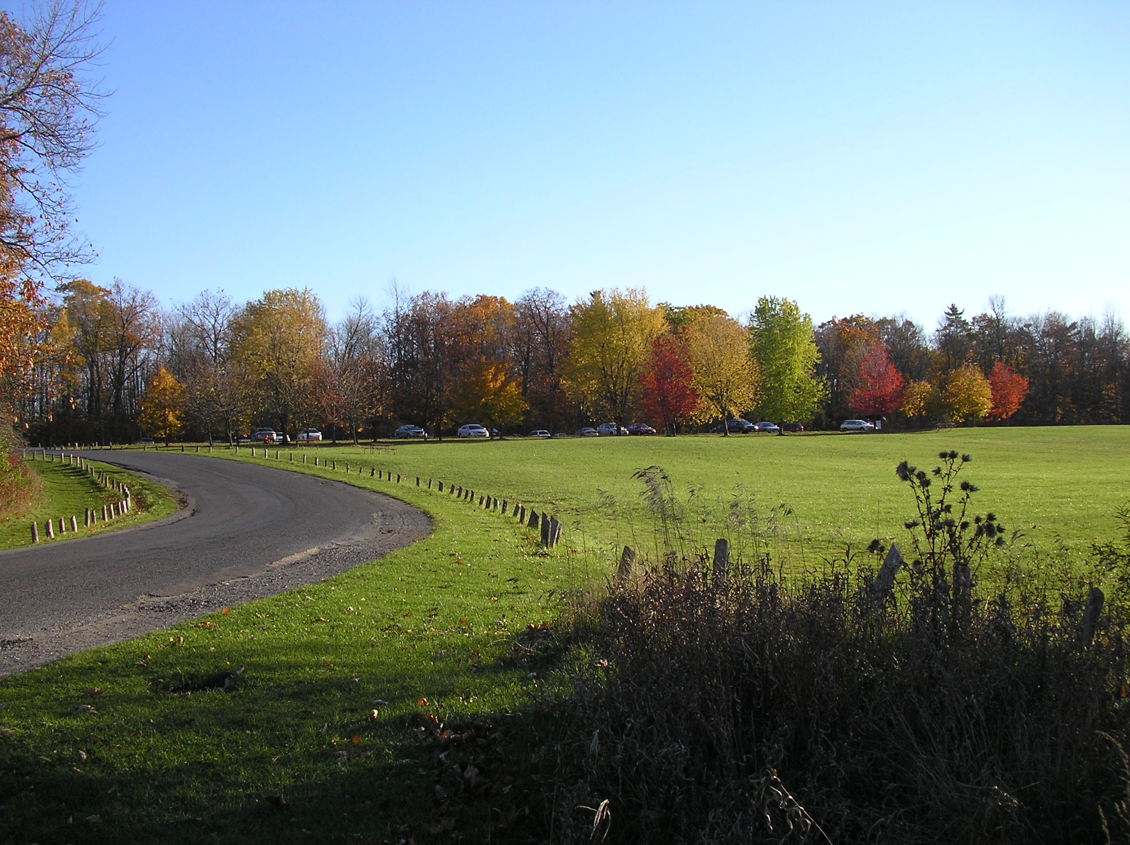 Lemoine Point photo showing an open area with some vegetation in the foreground and a parking lot bordered with trees in fall colours in the background. Source: https://commons.wikimedia.org/wiki/File:Lsparkinglot07.JPG